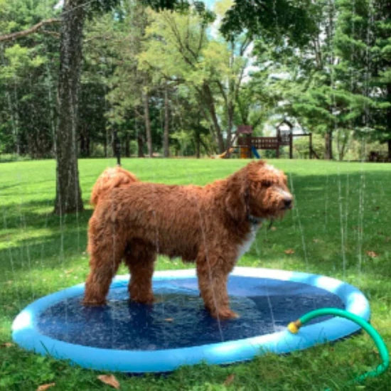 PupsCool™ Sprinklerdyna