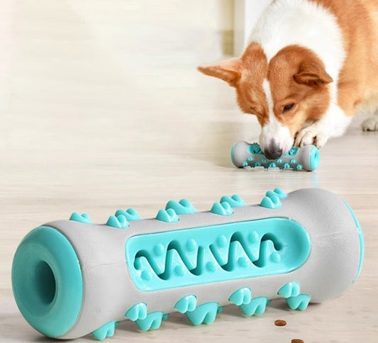 CanineDent™ Den ultimata tandvårdslösningen för hundar