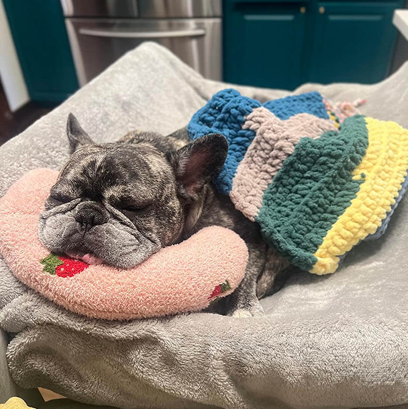 The Calming Dog™ Komfortkudde