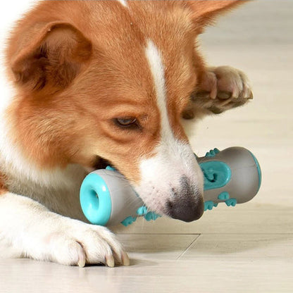 CanineDent™ Den ultimata tandvårdslösningen för hundar